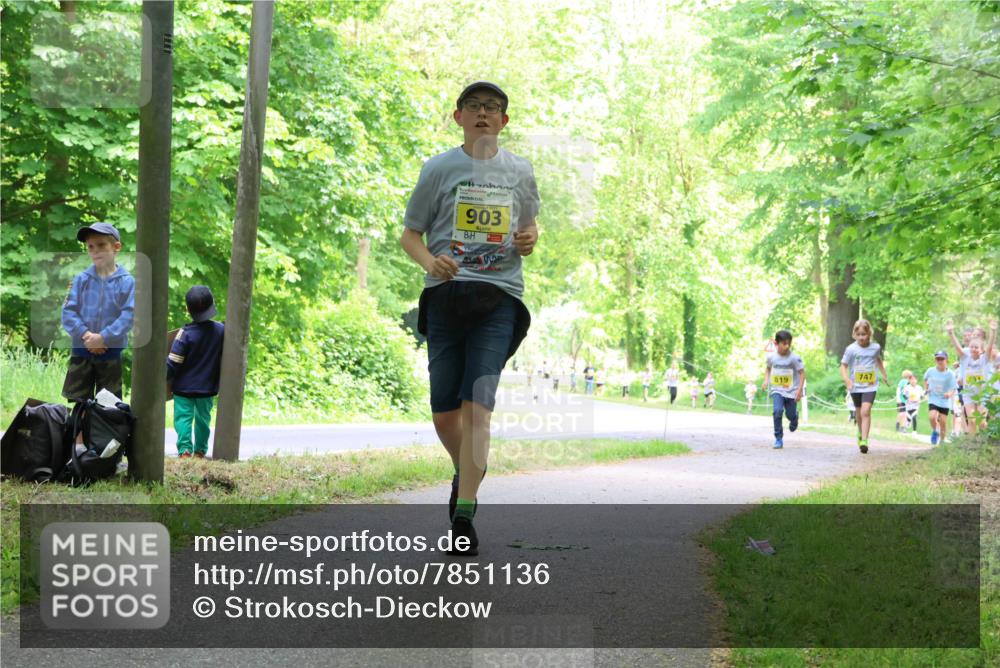 17.05.2025 - Störlauf Strokosch-Dieckow http://msf.ph/oto/7851136 17.05.2025 14:11:04 Laufen 903, 747, 819 meine-sportfotos.de