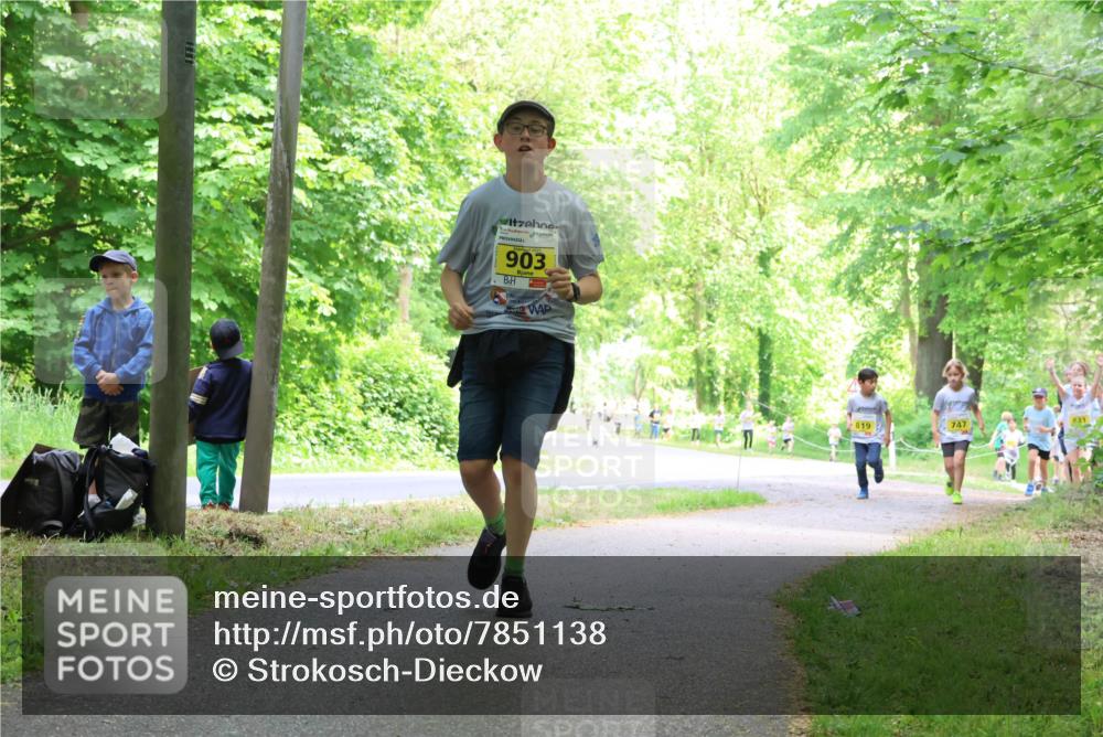 17.05.2025 - Störlauf Strokosch-Dieckow http://msf.ph/oto/7851138 17.05.2025 14:11:04 Laufen 903, 819, 747 meine-sportfotos.de