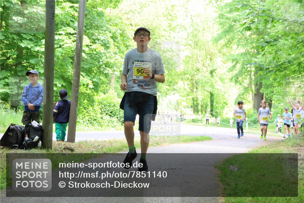 17.05.2025 - Störlauf Strokosch-Dieckow http://msf.ph/oto/7851140 17.05.2025 14:11:04 Laufen 90, 819, 747 meine-sportfotos.de