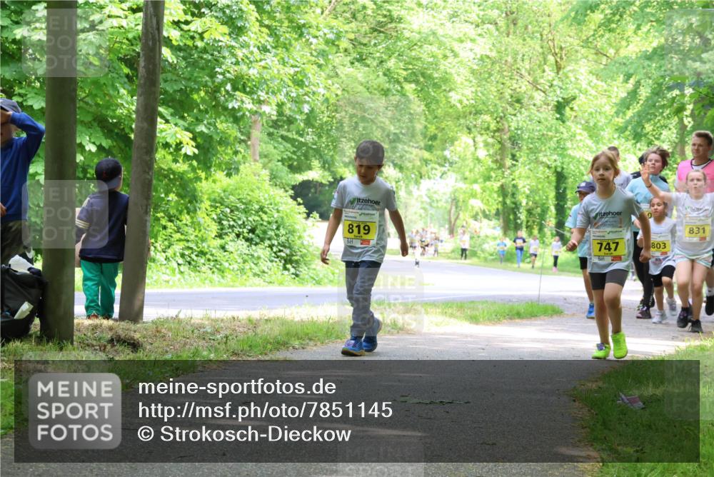 17.05.2025 - Störlauf Strokosch-Dieckow http://msf.ph/oto/7851145 17.05.2025 14:11:09 Laufen 819, 831, 747, 803 meine-sportfotos.de