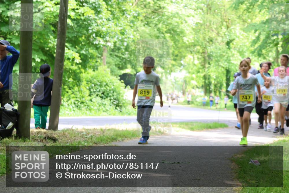 17.05.2025 - Störlauf Strokosch-Dieckow http://msf.ph/oto/7851147 17.05.2025 14:11:09 Laufen 831, 819, 747, 803 meine-sportfotos.de