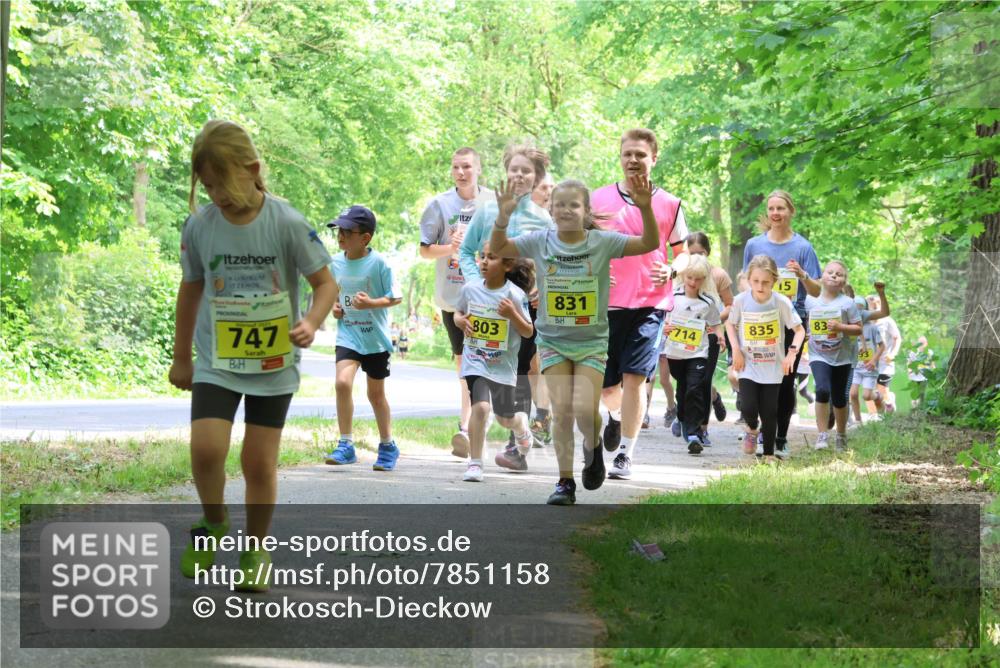 17.05.2025 - Störlauf Strokosch-Dieckow http://msf.ph/oto/7851158 17.05.2025 14:11:11 Laufen 747, 3, 803, 831, 714, 835, 15, 83 meine-sportfotos.de