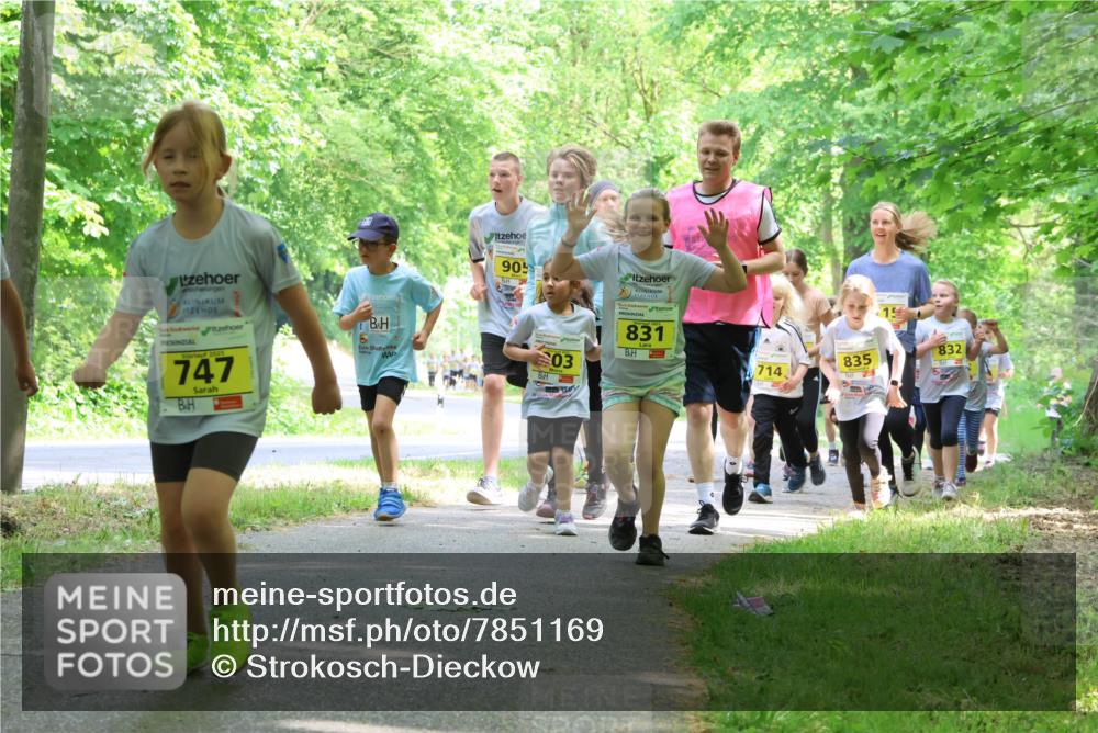 17.05.2025 - Störlauf Strokosch-Dieckow http://msf.ph/oto/7851169 17.05.2025 14:11:12 Laufen 747, 905, 03, 831, 714, 835, 832 meine-sportfotos.de
