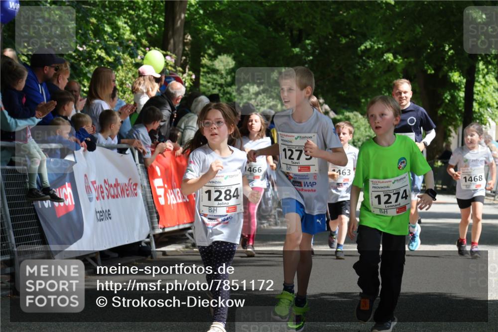 17.05.2025 - Störlauf Strokosch-Dieckow http://msf.ph/oto/7851172 17.05.2025 14:53:59 Ziel 2025, 1284, 1466, 2025, 1279, 463, 2025, 1274, 1468 meine-sportfotos.de