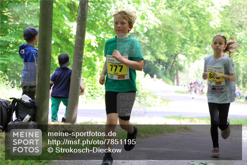 17.05.2025 - Störlauf Strokosch-Dieckow http://msf.ph/oto/7851195 17.05.2025 14:11:27 Laufen 2025, 777, 8 meine-sportfotos.de