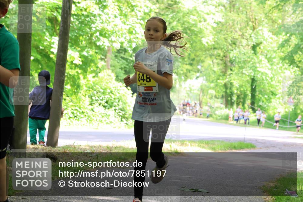 17.05.2025 - Störlauf Strokosch-Dieckow http://msf.ph/oto/7851197 17.05.2025 14:11:28 Laufen 848, 6, 25 meine-sportfotos.de