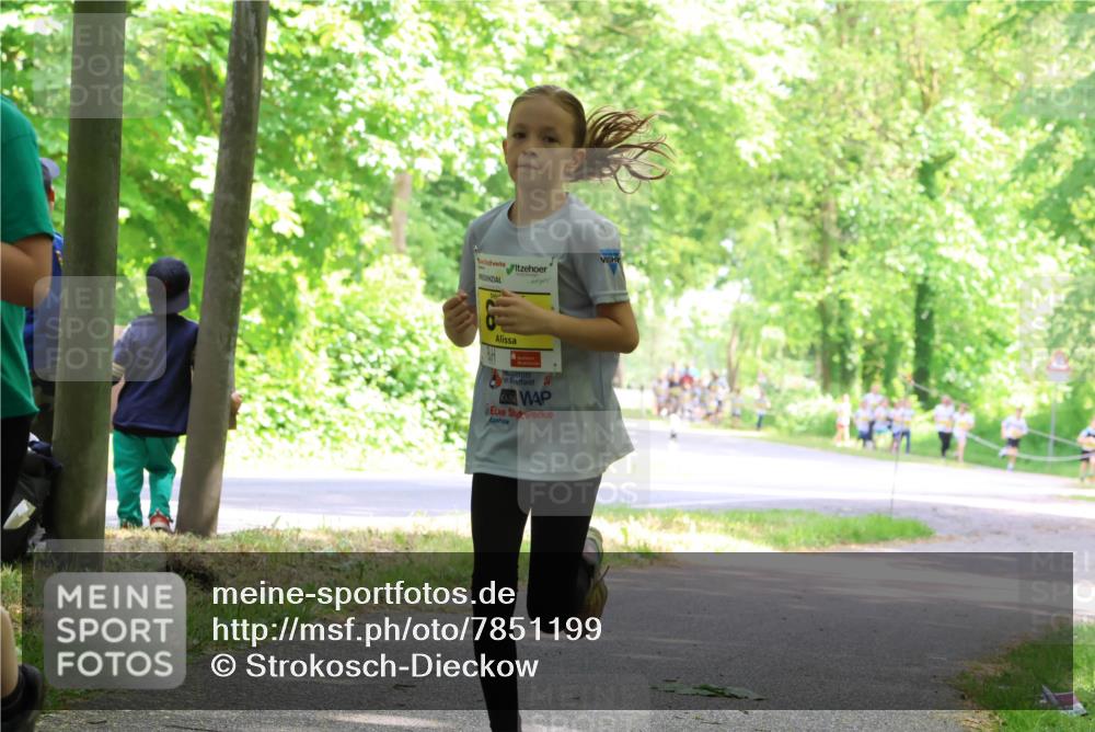 17.05.2025 - Störlauf Strokosch-Dieckow http://msf.ph/oto/7851199 17.05.2025 14:11:28 Laufen  meine-sportfotos.de