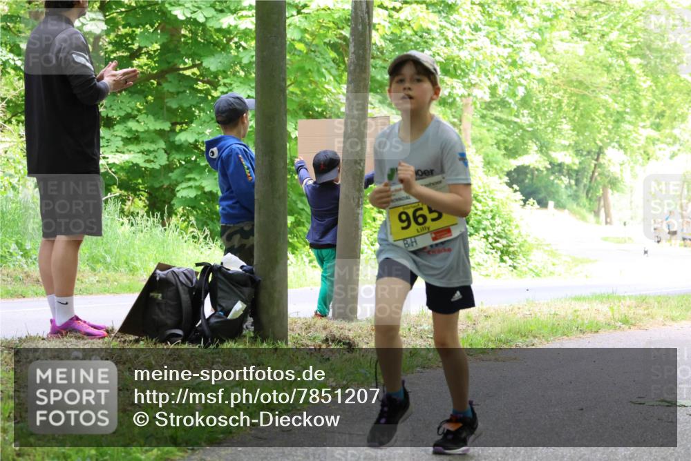 17.05.2025 - Störlauf Strokosch-Dieckow http://msf.ph/oto/7851207 17.05.2025 14:11:37 Laufen 965 meine-sportfotos.de