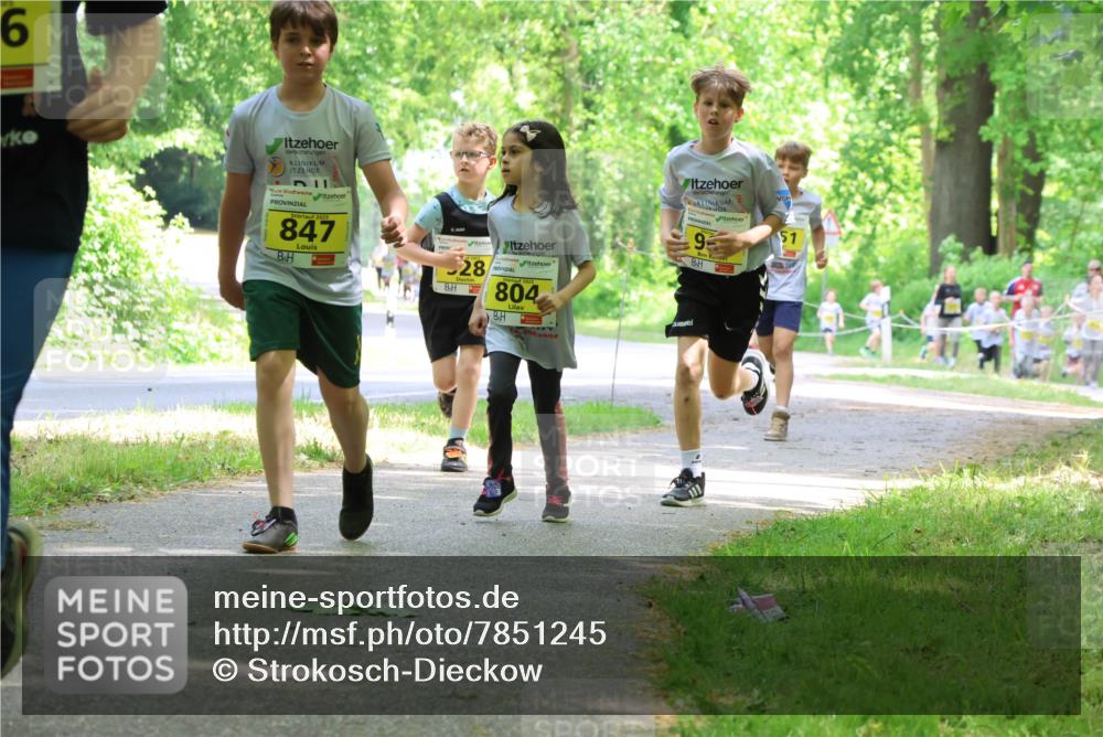 17.05.2025 - Störlauf Strokosch-Dieckow http://msf.ph/oto/7851245 17.05.2025 14:11:51 Laufen 9, 2025, 847, 9, 28, 804, 51 meine-sportfotos.de