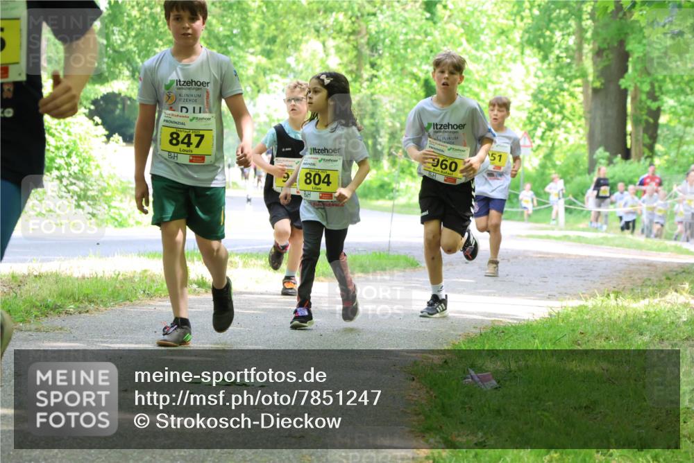 17.05.2025 - Störlauf Strokosch-Dieckow http://msf.ph/oto/7851247 17.05.2025 14:11:51 Laufen 2, 2025, 847, 804, 960, 51 meine-sportfotos.de