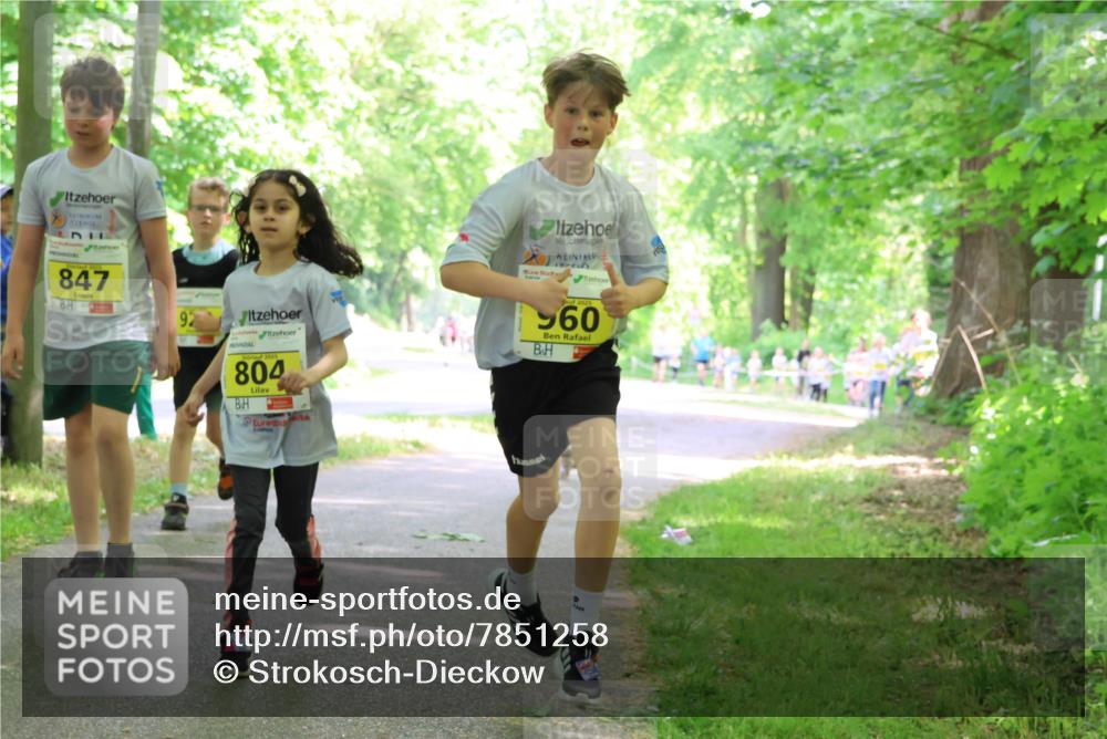 17.05.2025 - Störlauf Strokosch-Dieckow http://msf.ph/oto/7851258 17.05.2025 14:11:54 Laufen 847, 92, 804, 45, 2025, 960 meine-sportfotos.de