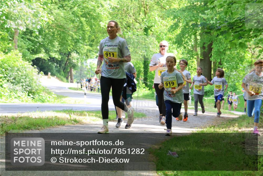 17.05.2025 - Störlauf Strokosch-Dieckow http://msf.ph/oto/7851282 17.05.2025 14:12:02 Laufen 911, 919, 752, 842, 839 meine-sportfotos.de