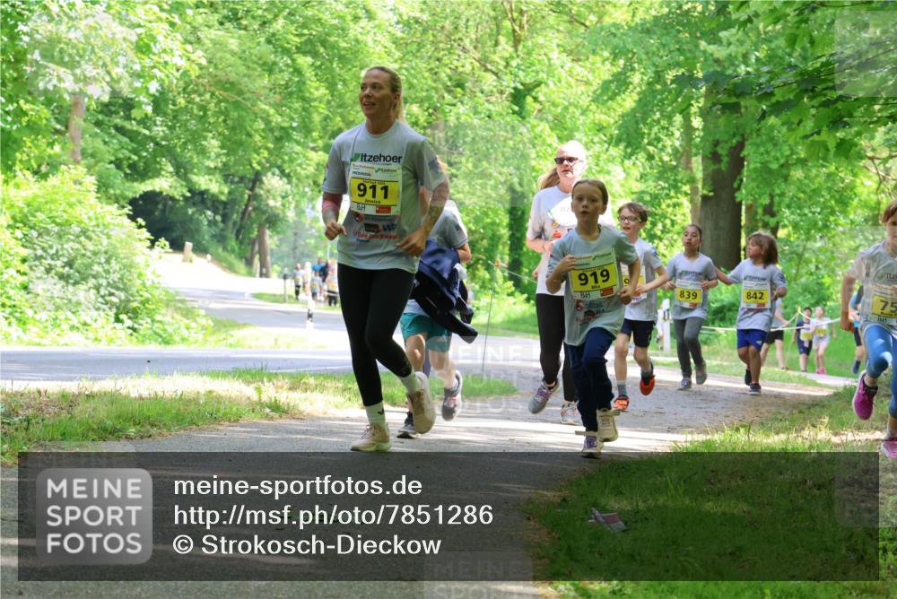 17.05.2025 - Störlauf Strokosch-Dieckow http://msf.ph/oto/7851286 17.05.2025 14:12:02 Laufen 911, 919, 839, 842, 75 meine-sportfotos.de