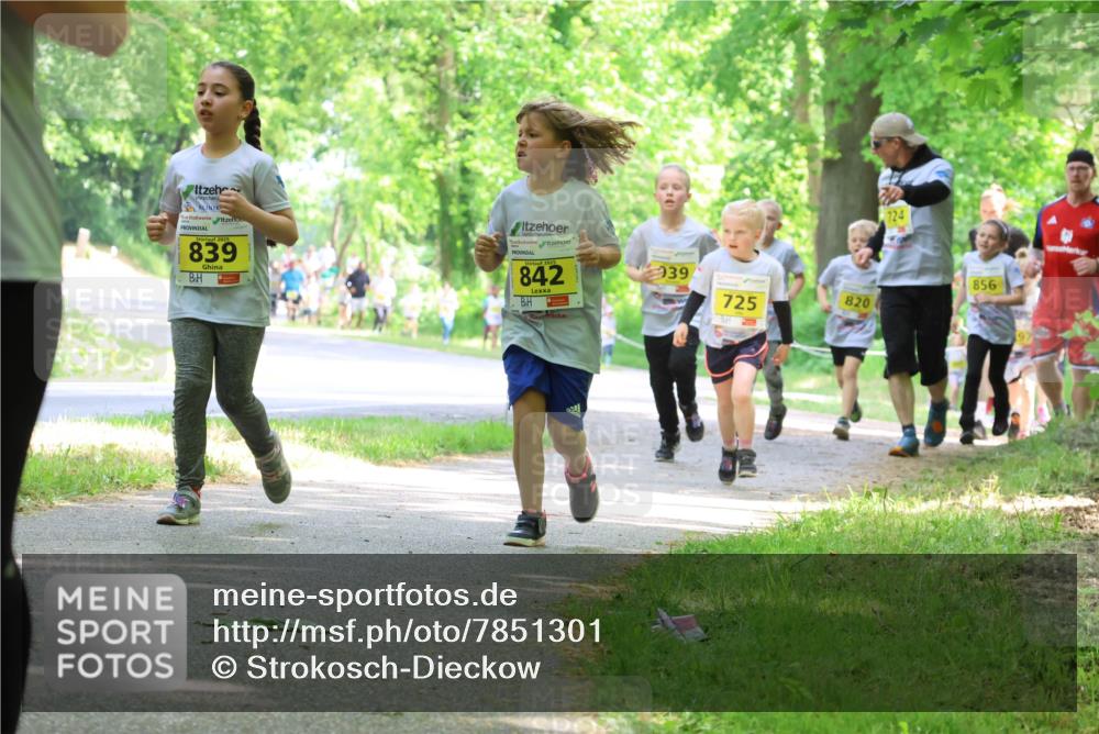 17.05.2025 - Störlauf Strokosch-Dieckow http://msf.ph/oto/7851301 17.05.2025 14:12:08 Laufen 2025, 839, 842, 939, 820, 725, 724, 856 meine-sportfotos.de
