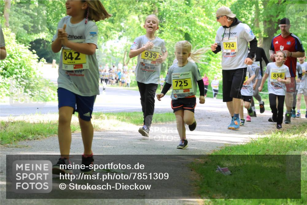 17.05.2025 - Störlauf Strokosch-Dieckow http://msf.ph/oto/7851309 17.05.2025 14:12:10 Laufen 842, 939, 725, 724, 856 meine-sportfotos.de