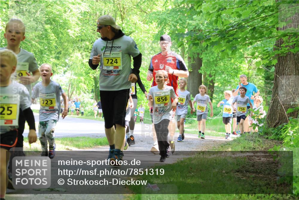 17.05.2025 - Störlauf Strokosch-Dieckow http://msf.ph/oto/7851319 17.05.2025 14:12:12 Laufen 25, 723, 724, 1, 856, 46, 756, 742, 755 meine-sportfotos.de