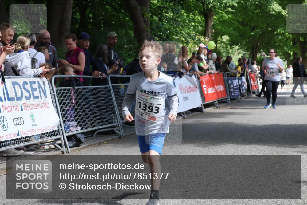 17.05.2025 - Störlauf Strokosch-Dieckow http://msf.ph/oto/7851377 17.05.2025 14:56:44 Ziel 2025, 1393, 1499 meine-sportfotos.de
