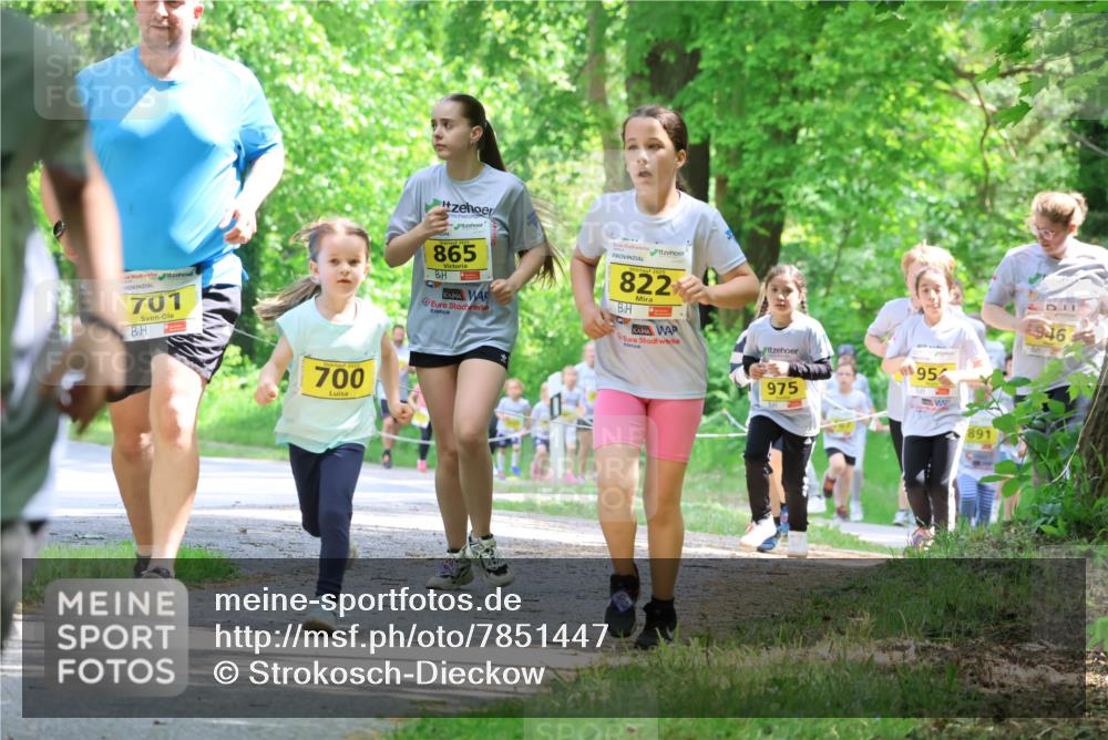 17.05.2025 - Störlauf Strokosch-Dieckow http://msf.ph/oto/7851447 17.05.2025 14:12:53 Laufen 701, 700, 865, 822, 975, 95, 946, 891 meine-sportfotos.de