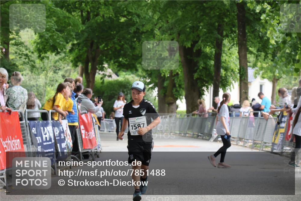 17.05.2025 - Störlauf Strokosch-Dieckow http://msf.ph/oto/7851488 17.05.2025 14:59:23 Ziel 40, 1587 meine-sportfotos.de