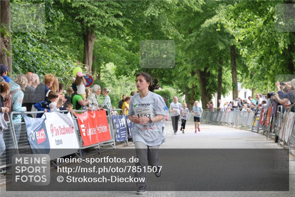 17.05.2025 - Störlauf Strokosch-Dieckow http://msf.ph/oto/7851507 17.05.2025 14:59:53 Ziel 1502, 2636, 294, 1297 meine-sportfotos.de