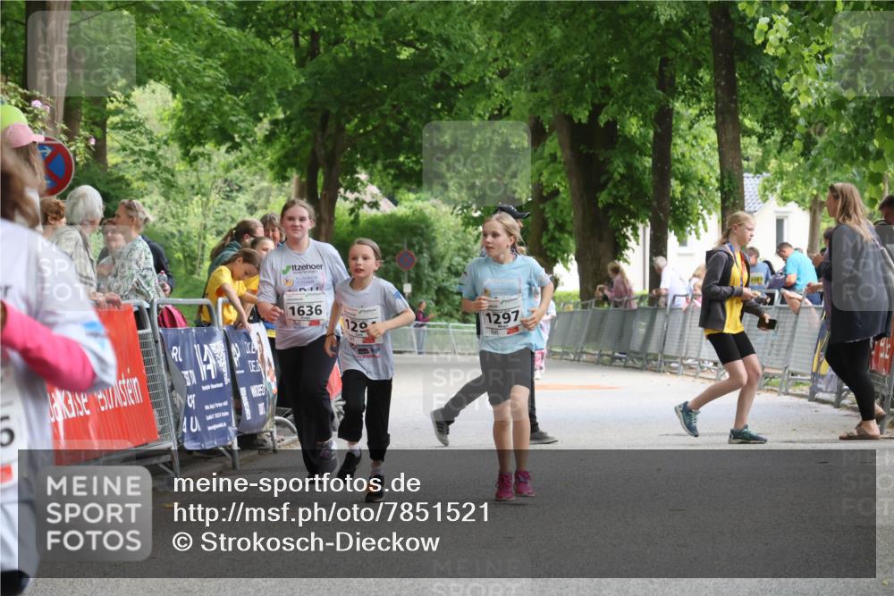 17.05.2025 - Störlauf Strokosch-Dieckow http://msf.ph/oto/7851521 17.05.2025 15:00:00 Ziel 1636, 12, 1297, 2487 meine-sportfotos.de