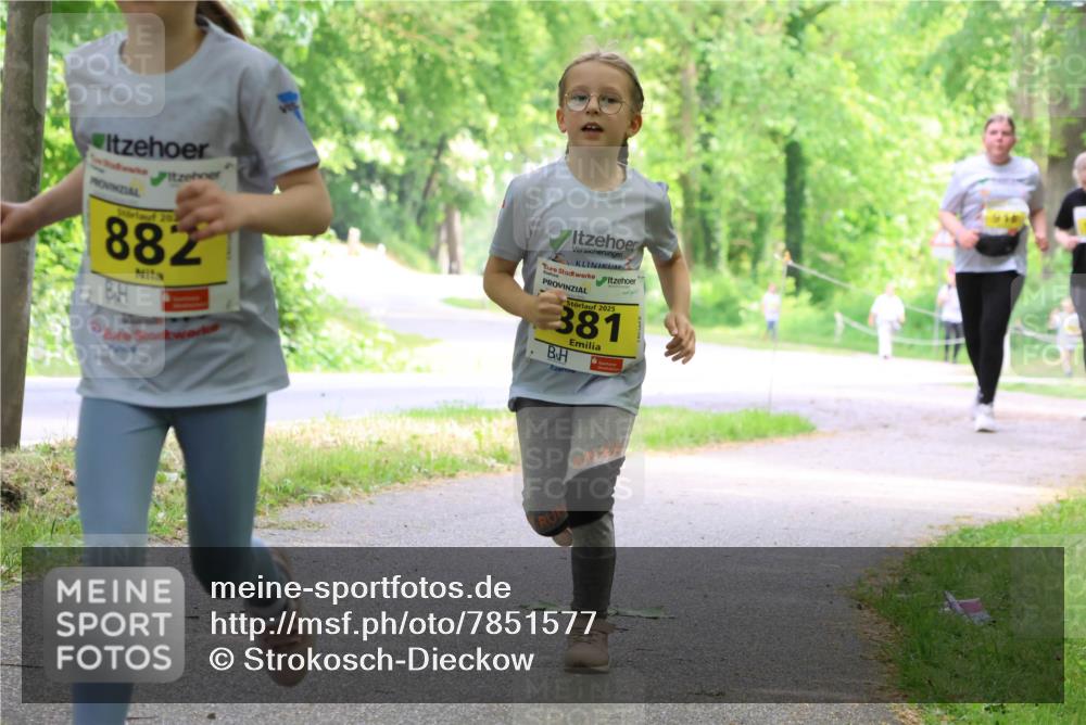 17.05.2025 - Störlauf Strokosch-Dieckow http://msf.ph/oto/7851577 17.05.2025 14:13:59 Laufen 202, 882, 2025, 381 meine-sportfotos.de