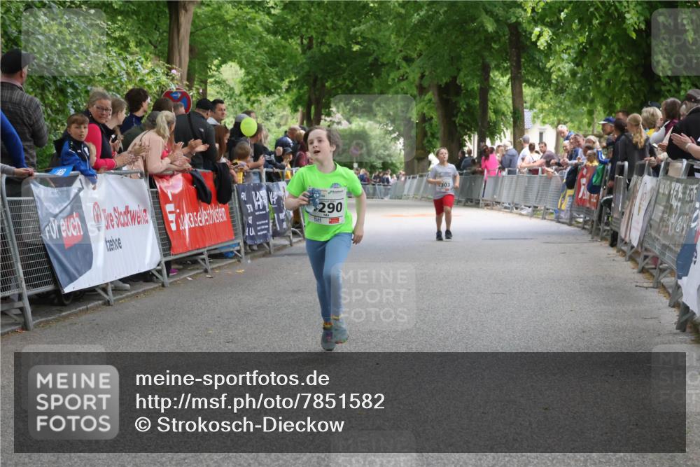 17.05.2025 - Störlauf Strokosch-Dieckow http://msf.ph/oto/7851582 17.05.2025 15:17:41 Ziel 290, 303 meine-sportfotos.de