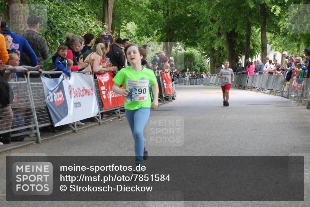 17.05.2025 - Störlauf Strokosch-Dieckow http://msf.ph/oto/7851584 17.05.2025 15:17:42 Ziel 290, 1303 meine-sportfotos.de