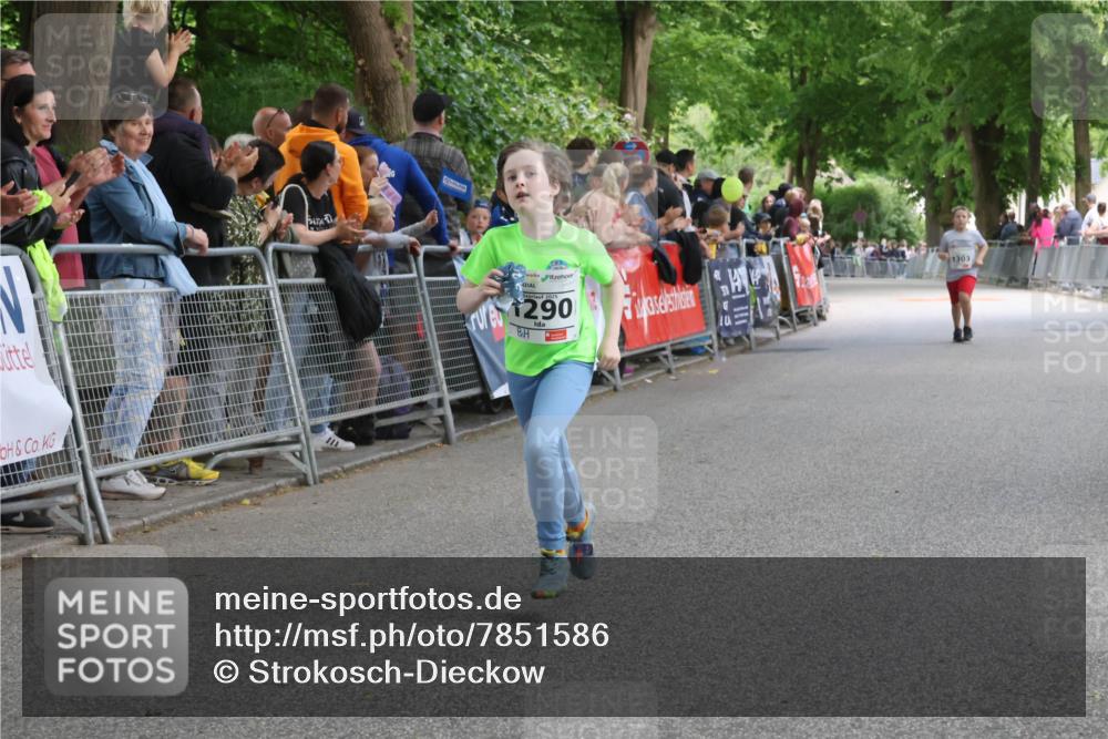 17.05.2025 - Störlauf Strokosch-Dieckow http://msf.ph/oto/7851586 17.05.2025 15:17:43 Ziel 2025, 290, 1303 meine-sportfotos.de