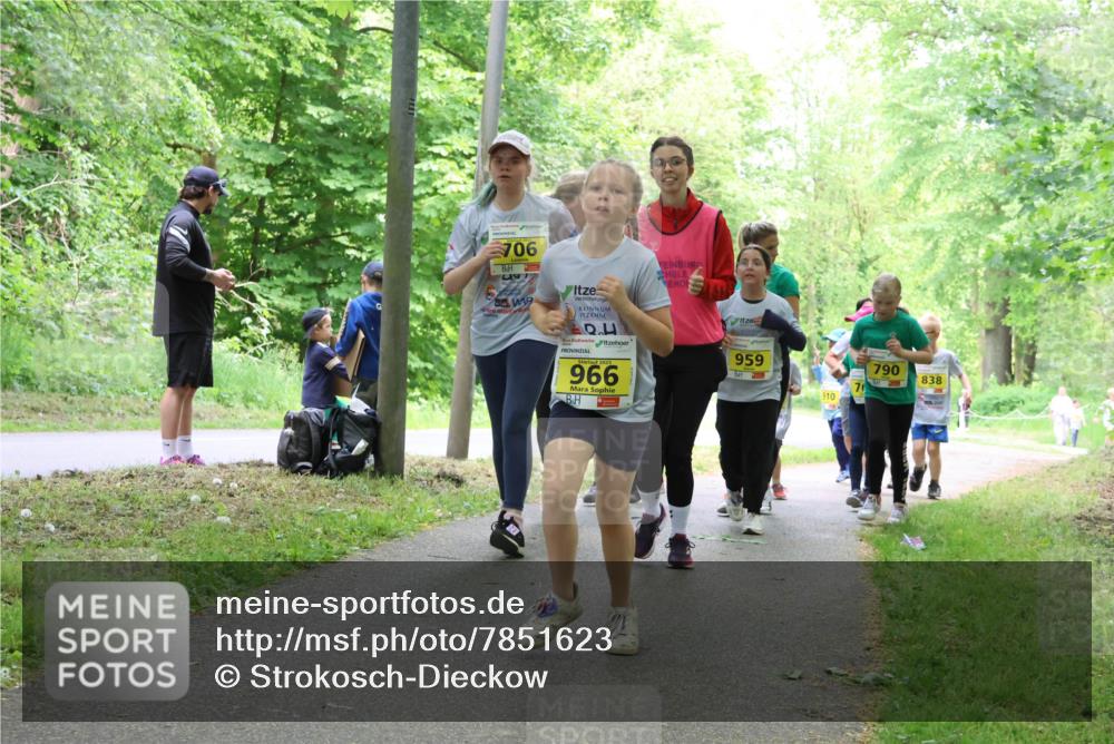 17.05.2025 - Störlauf Strokosch-Dieckow http://msf.ph/oto/7851623 17.05.2025 14:14:20 Laufen 706, 966, 959, 910, 790, 838 meine-sportfotos.de