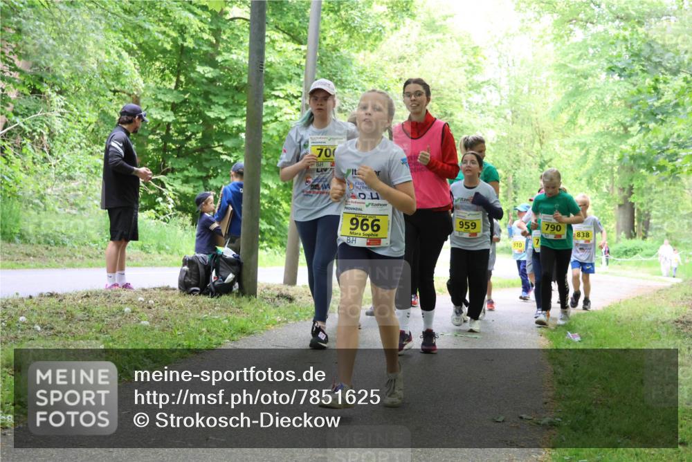 17.05.2025 - Störlauf Strokosch-Dieckow http://msf.ph/oto/7851625 17.05.2025 14:14:20 Laufen 700, 104, 966, 959, 910, 790, 838 meine-sportfotos.de