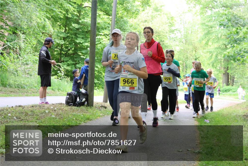 17.05.2025 - Störlauf Strokosch-Dieckow http://msf.ph/oto/7851627 17.05.2025 14:14:20 Laufen 70, 2025, 966, 959, 910, 796, 838 meine-sportfotos.de