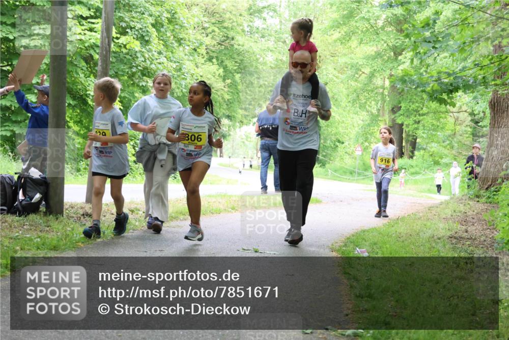 17.05.2025 - Störlauf Strokosch-Dieckow http://msf.ph/oto/7851671 17.05.2025 14:14:45 Laufen 259, 306, 916 meine-sportfotos.de