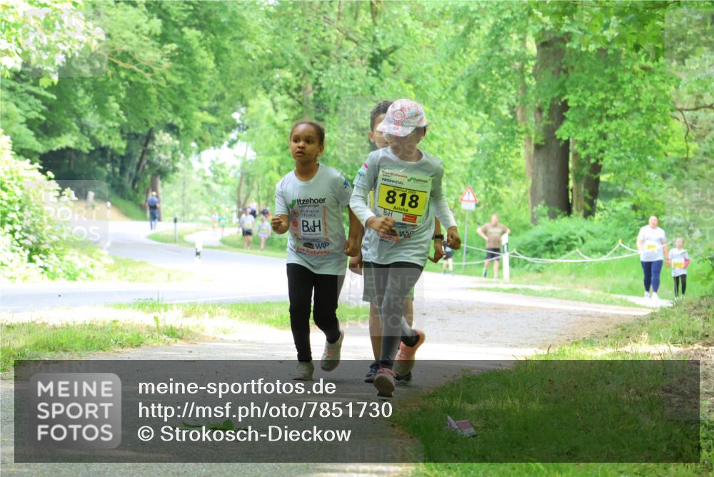 17.05.2025 - Störlauf Strokosch-Dieckow http://msf.ph/oto/7851730 17.05.2025 14:16:01 Laufen 818 meine-sportfotos.de