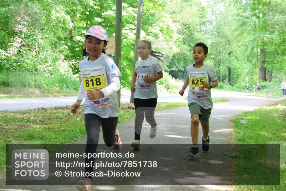 17.05.2025 - Störlauf Strokosch-Dieckow http://msf.ph/oto/7851738 17.05.2025 14:16:04 Laufen 60, 2025, 818, 825 meine-sportfotos.de