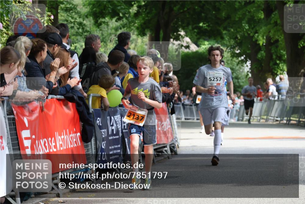 17.05.2025 - Störlauf Strokosch-Dieckow http://msf.ph/oto/7851797 17.05.2025 15:23:47 Ziel 25524, 2137, 5257 meine-sportfotos.de