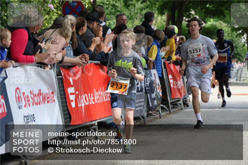 17.05.2025 - Störlauf Strokosch-Dieckow http://msf.ph/oto/7851800 17.05.2025 15:23:48 Ziel 2137, 7, 15524, 5257, 2258, 17 meine-sportfotos.de