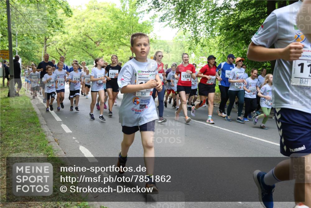 17.05.2025 - Störlauf Strokosch-Dieckow http://msf.ph/oto/7851862 17.05.2025 14:17:39 Laufen 149, 1473, 1370, 1191, 1340, 371, 16, 1528, 35, 517, 1039, 1086, 633, 08, 11 meine-sportfotos.de