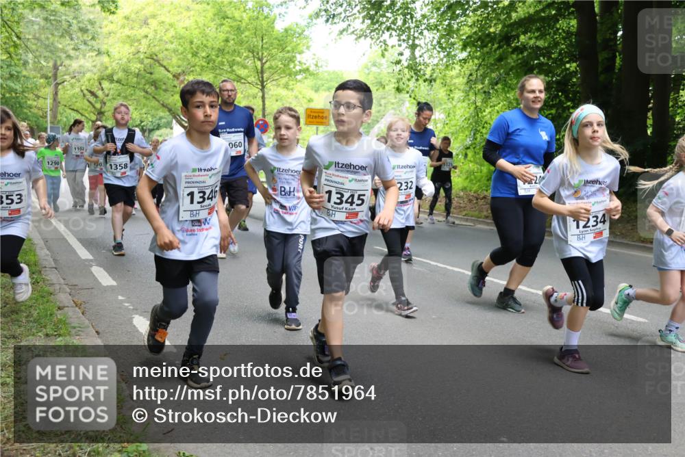 17.05.2025 - Störlauf Strokosch-Dieckow http://msf.ph/oto/7851964 17.05.2025 14:17:56 Laufen 353, 1290, 1102, 060, 1358, 1346, 1345, 232, 1025, 1234 meine-sportfotos.de
