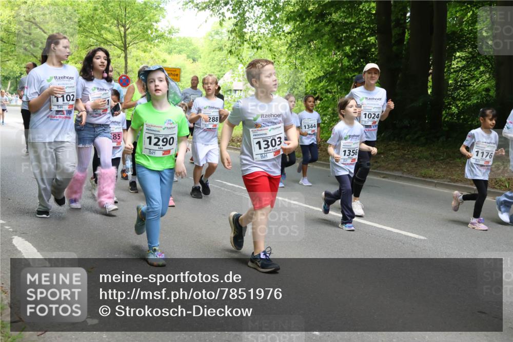17.05.2025 - Störlauf Strokosch-Dieckow http://msf.ph/oto/7851976 17.05.2025 14:18:01 Laufen 1102, 85, 1290, 288, 1303, 1344, 1356, 1024, 1176 meine-sportfotos.de