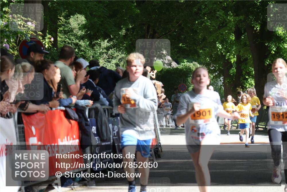 17.05.2025 - Störlauf Strokosch-Dieckow http://msf.ph/oto/7852050 17.05.2025 15:27:03 Ziel 31, 901, 2066, 1912 meine-sportfotos.de