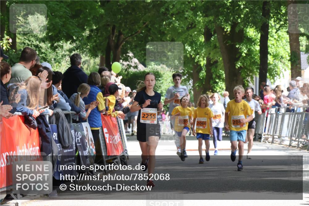 17.05.2025 - Störlauf Strokosch-Dieckow http://msf.ph/oto/7852068 17.05.2025 15:27:09 Ziel 19, 2255, 897, 2095, 2066, 208 meine-sportfotos.de