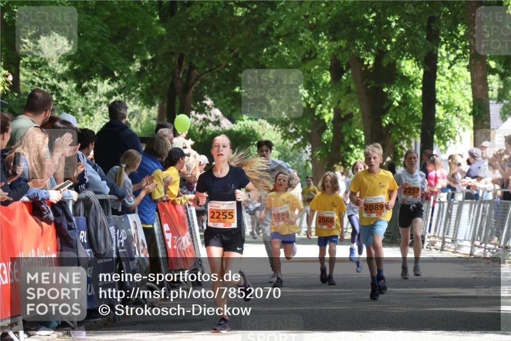 17.05.2025 - Störlauf Strokosch-Dieckow http://msf.ph/oto/7852070 17.05.2025 15:27:09 Ziel 15524, 14, 2255, 2095, 2066, 2089, 2257 meine-sportfotos.de