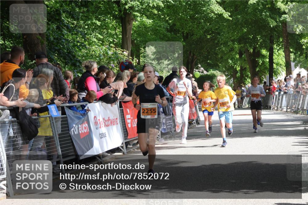 17.05.2025 - Störlauf Strokosch-Dieckow http://msf.ph/oto/7852072 17.05.2025 15:27:12 Ziel 2255, 1973, 2089 meine-sportfotos.de