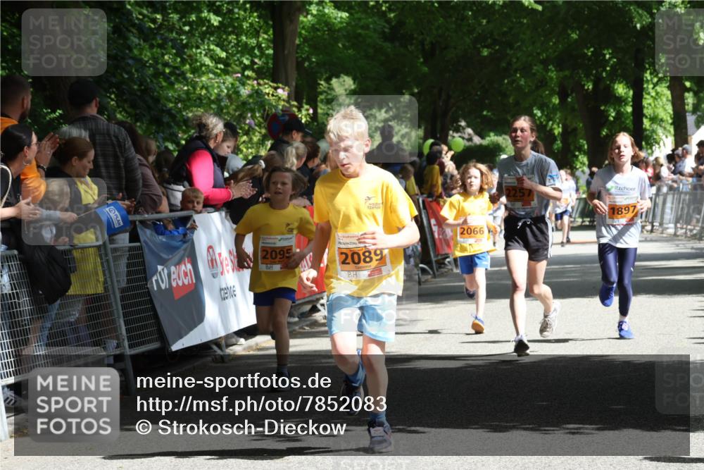 17.05.2025 - Störlauf Strokosch-Dieckow http://msf.ph/oto/7852083 17.05.2025 15:27:15 Ziel 2095, 2089, 2066, 2257, 1897 meine-sportfotos.de