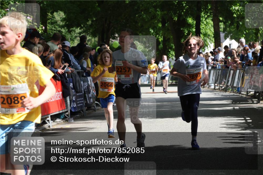 17.05.2025 - Störlauf Strokosch-Dieckow http://msf.ph/oto/7852085 17.05.2025 15:27:16 Ziel 2045, 2089, 2066, 2257, 9930, 897 meine-sportfotos.de