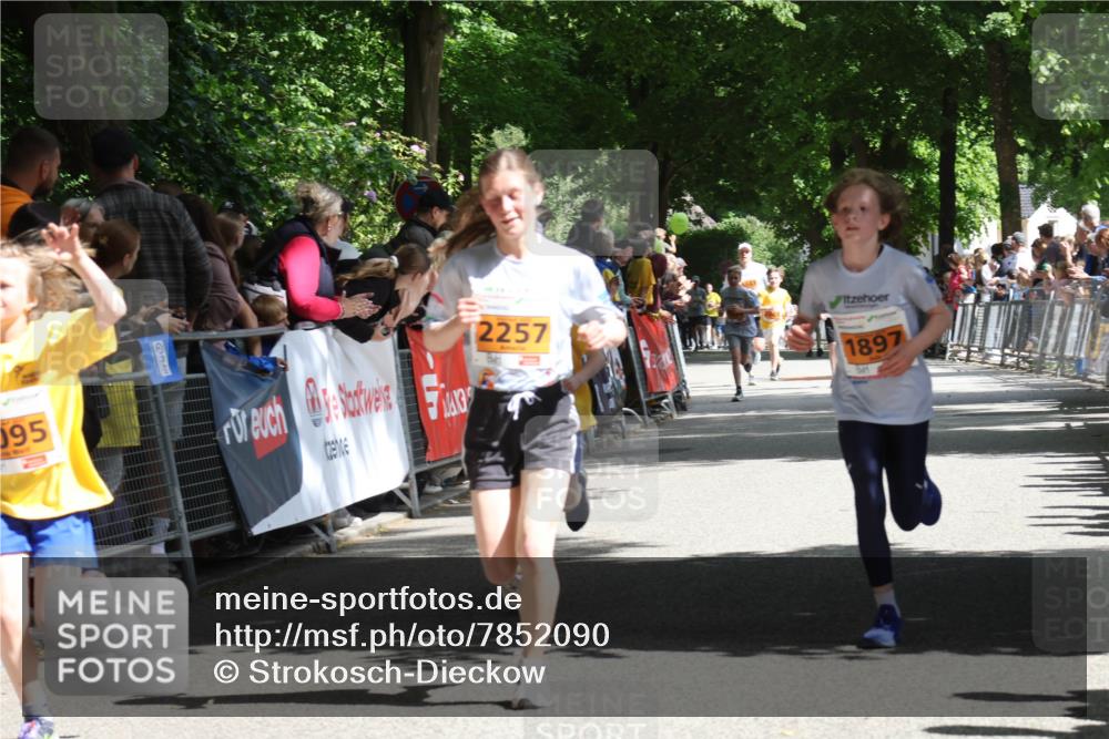 17.05.2025 - Störlauf Strokosch-Dieckow http://msf.ph/oto/7852090 17.05.2025 15:27:17 Ziel 095, 2257, 1897 meine-sportfotos.de