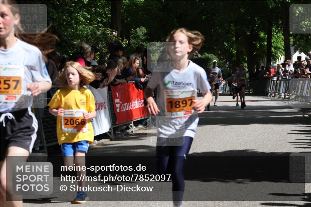 17.05.2025 - Störlauf Strokosch-Dieckow http://msf.ph/oto/7852097 17.05.2025 15:27:18 Ziel 257, 2066, 1897 meine-sportfotos.de