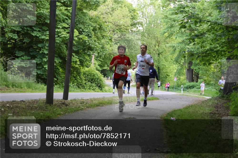 17.05.2025 - Störlauf Strokosch-Dieckow http://msf.ph/oto/7852171 17.05.2025 14:36:12 Laufen 159, 1596 meine-sportfotos.de
