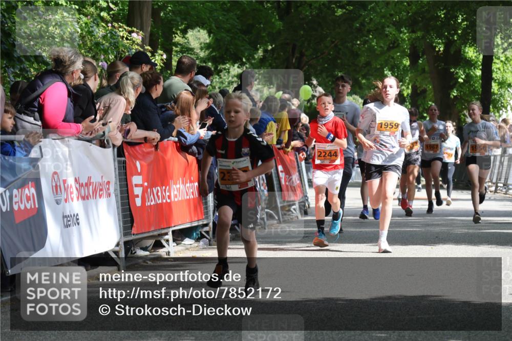 17.05.2025 - Störlauf Strokosch-Dieckow http://msf.ph/oto/7852172 17.05.2025 15:28:03 Ziel 11, 230, 2244, 1959, 1967, 1956, 91 meine-sportfotos.de